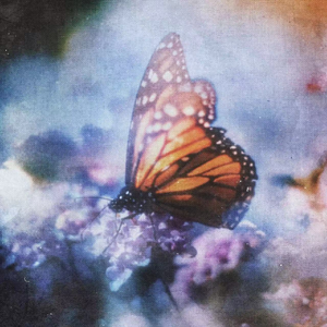 女人被舔荫蒂囗交视频
