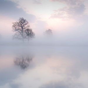 女人被舔荫蒂囗交视频
