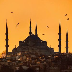 女人被舔荫蒂囗交视频
